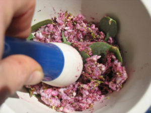 Crushed Manzanita Blossoms