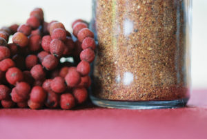 Ground Madrone Berries