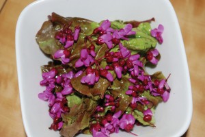 Redbud Salad Redbud Salad