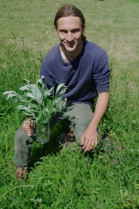 Daniel Nicholson has Yarrow & Mugwort for Beer Making