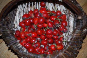 Rose Hips