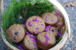 Manzanita Muffins with Redbud Flowers