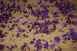 Redbud Cornbread