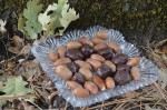 oak nut marzipan