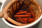 Making Madrone Bark Tea