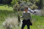 Pulling Scotch Broom