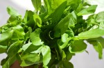 Watercress