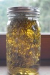 Brewing Pearly Everlasting Tea