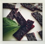 chokecherry fruit leather with wild mint