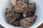 Wild Morel Mushrooms