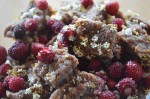 Raw Wild Food Bar with Wild Strawberries