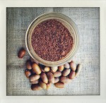 Oak Nut Flour (acorns)