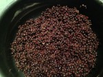 Elderberries, after making juice