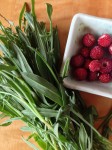 Sorrel & Strawberries